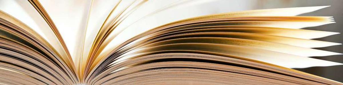 Faber &amp; Stern Verlag cover